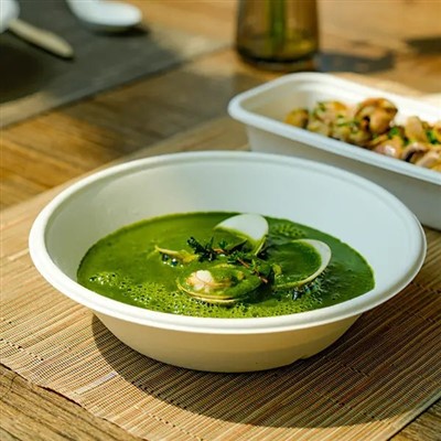 گنے کا باگس کا پیالہ